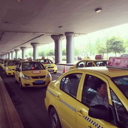 重慶出租車行業警示 拒載行為將面臨嚴厲處罰